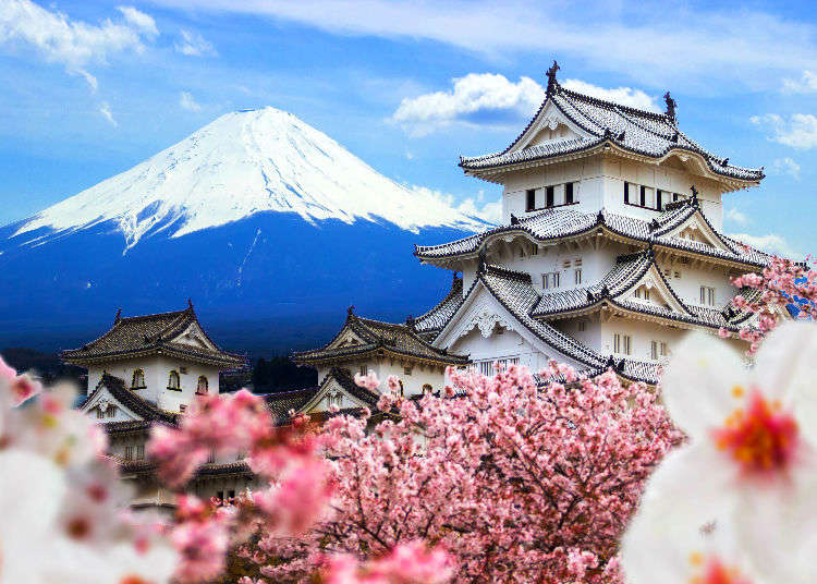 Japan Travel Experience