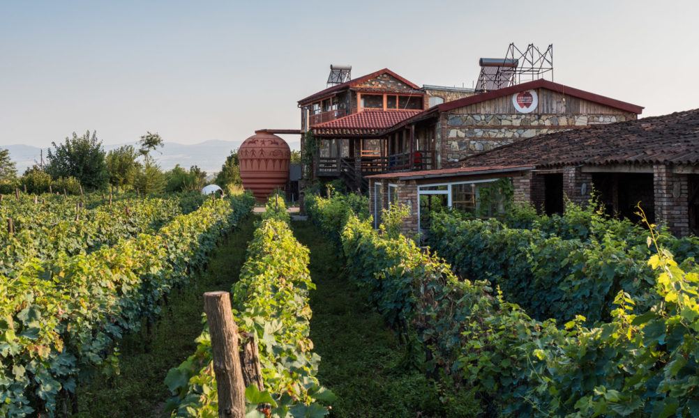 Tamar valley wineries